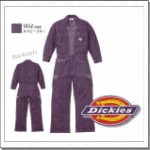 Dickies904fBXfjȂ