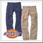 D-1875@ySTANDARDzDickies _uj[EJ[Spc