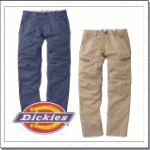 D-1865 yADVANCEDzDickies J[Spc