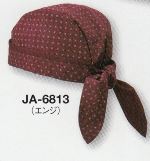 JA-6813 o_iX(GW)